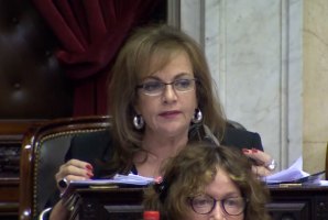  Nilda Garré cargó contra Julio Martínez: “Menosprecia el rol del Congreso”