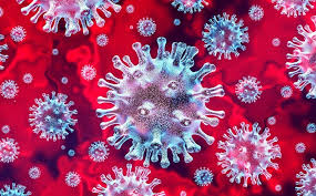  Coronavirus: por qué tenemos que actuar ahora