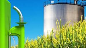  Ley de Biocombustibles: el Gobierno de Salta coordina con Tucumán un pedido de prórroga