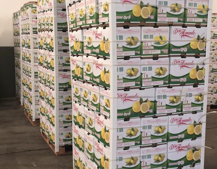  Firma jujeña realizó exitosa exportación de limones