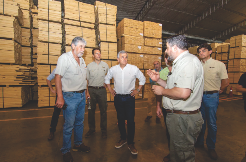  Morales construye puentes para acceder a experiencias de producción que dinamicen la foresto industria