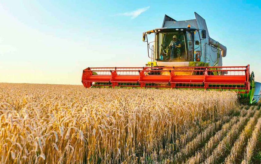  Pese a la sequía, el trigo traerá un pan debajo del brazo en 2023