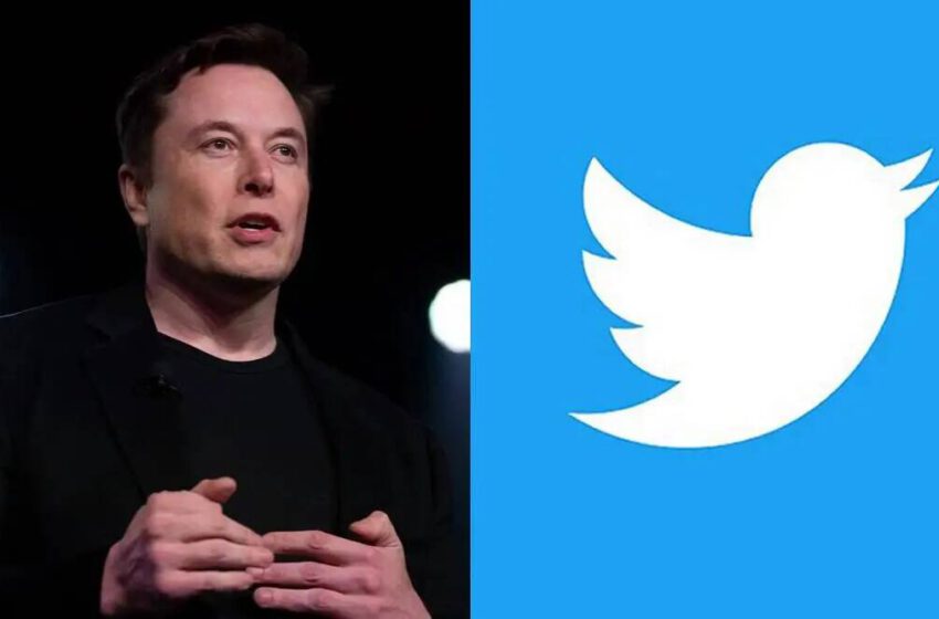 Musk pone en las manos de los usuarios su destino en Twitter y estos dicen que renuncie