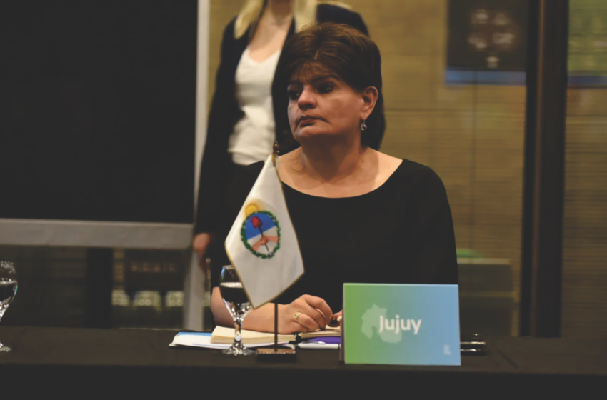  Jujuy participó del Consejo Federal de Ambiente