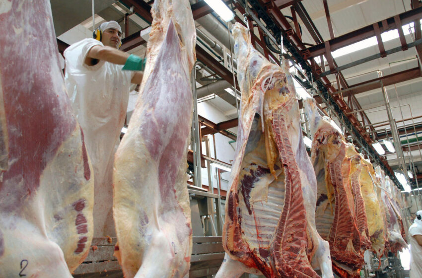  México abre su mercado a la carne bovina argentina tras 22 años
