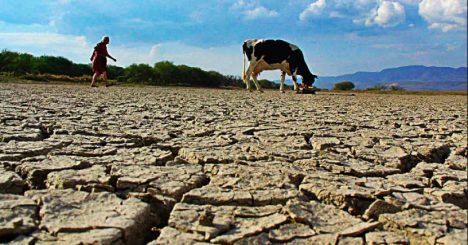  Alarmantes niveles de sequía en el Norte Grande «28 meses»