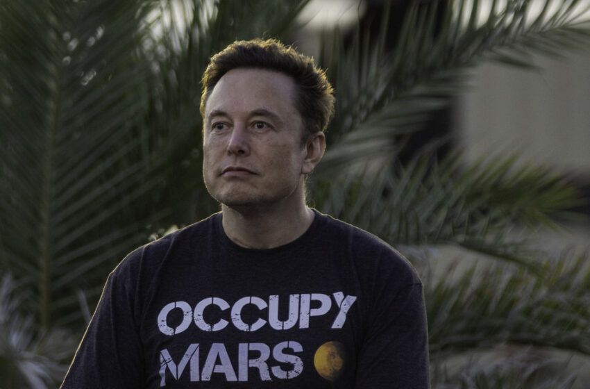  Elon Musk: «Nadie está impulsando más la guerra en Ucrania que Victoria Nuland»