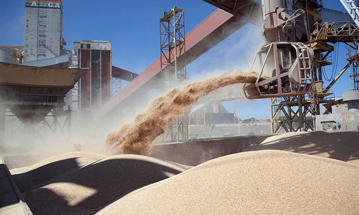  La molienda de soja en la Argentina registrará en 2022/23 el nivel más bajo de las últimas dos décadas a pesar de las importaciones récord