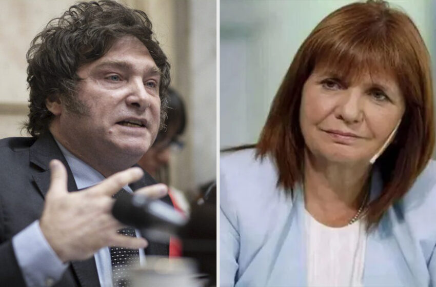  Patricia Bullrich anticipó que si gana las elecciones hará una alianza legislativa con Javier Milei