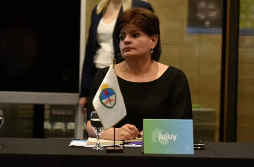 Aportes de Jujuy en el debate sobre la estrategia nacional para el Uso de los Mercados de Carbono