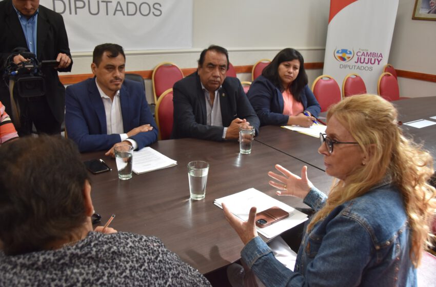  La Comisión de Salud recibió a la representante de la Sociedad Argentina de Nefrología en Jujuy