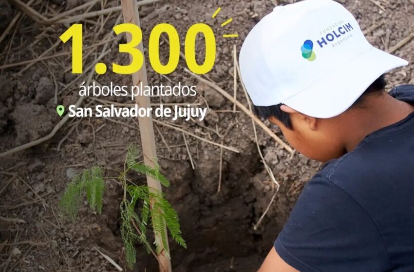  Holcim de la mano con la comunidad: más 8500 árboles plantados y 50 proyectos ejecutados.
