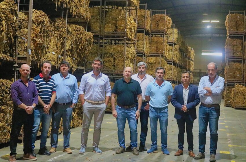 Manuel Quintar ratificó su total apoyo a la producción tabacalera jujeña