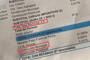 «El brazo firme de Milei: despide a la titular del ARCA por intentar imponer impuestos a streamers e influencers»