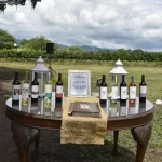 Celebración de la V Vendimia en Bodega La Magdalena