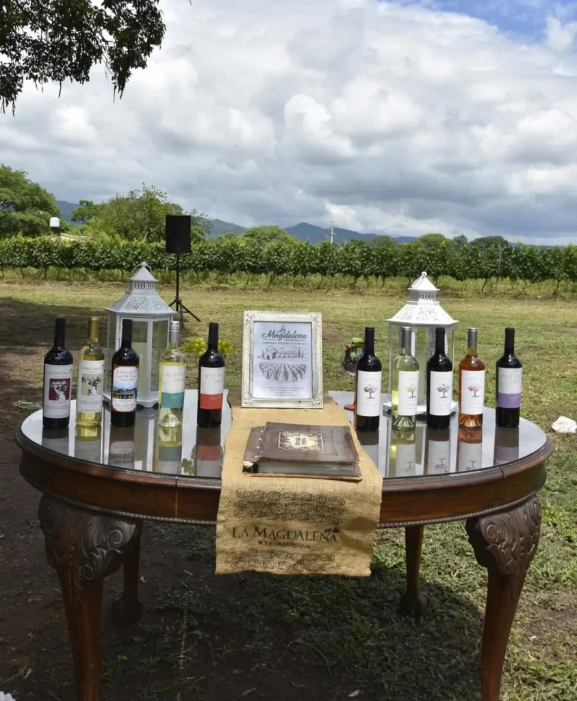 Celebración de la V Vendimia en Bodega La Magdalena