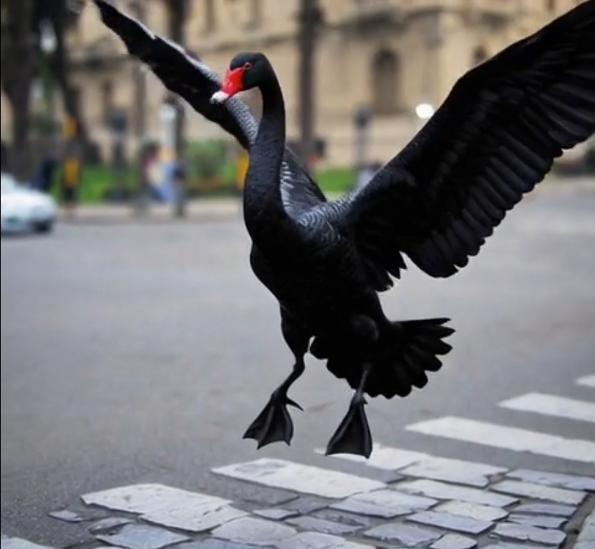 El Cisne Negro en Jujuy: La Rebelión Libertaria que Derriba la Casta