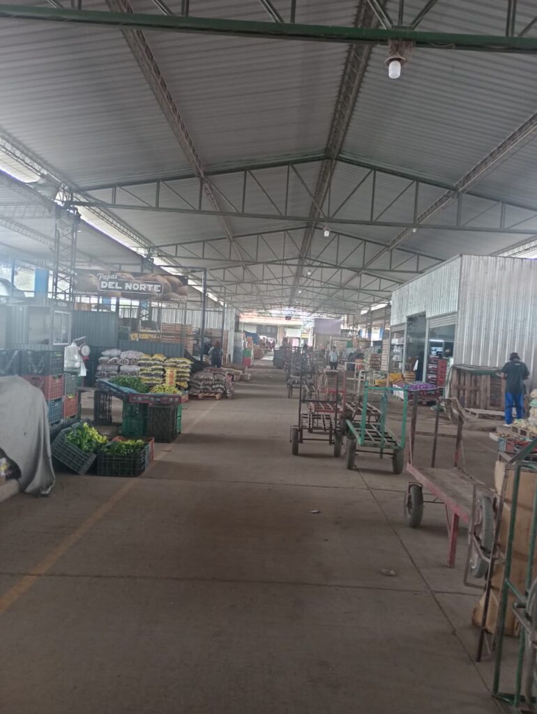 “Perico en jaque: cómo el e-commerce global está devorando al histórico mercado del norte argentino”