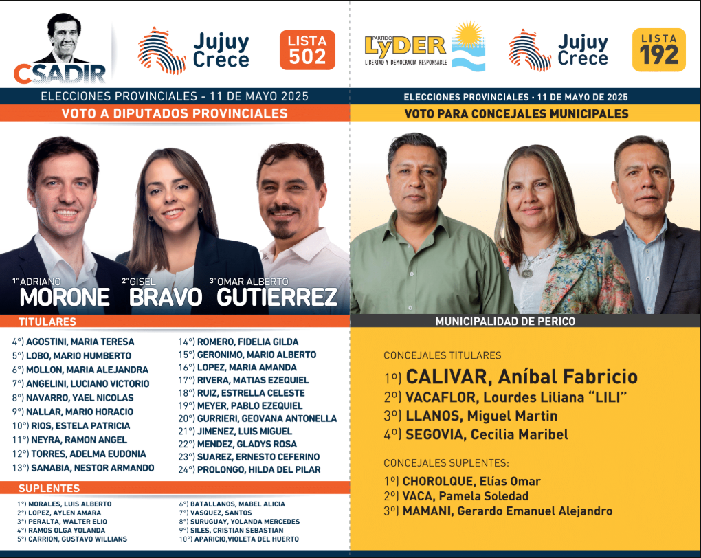 Elecciones Insólitas: Cuando la revolución no se grita, se vota 5 perico