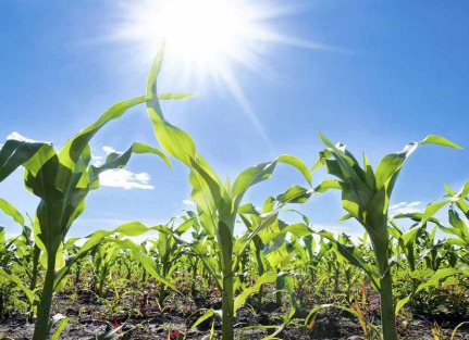 Clima, Producción y Futuro: Jornada clave sobre Perspectivas Climáticas en Perico 2 WhatsApp Image 2025 07 17 at 20.23.30