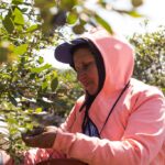 El RENATRE realizará los pagos por prestación por desempleo del 5 al 19 de agosto