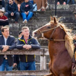 Sadir participó de la tradicional Exposición de Caballos Peruanos de Paso