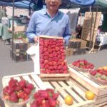 Las frutillas de Perico llegan a la capital