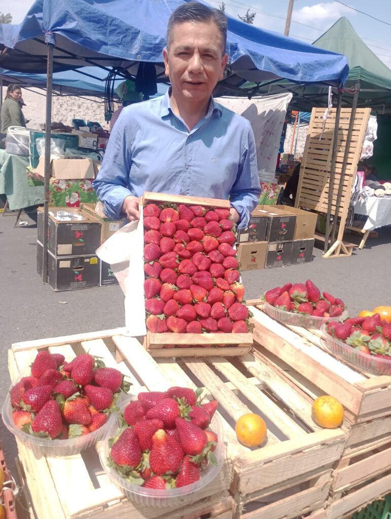 Las frutillas de Perico llegan a la capital