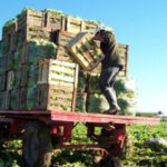 Fuego productivo o ceniza del ajuste: Argentina no tiene 30 años para esperar 2 Fuego productivo o ceniza del ajuste: Argentina no tiene 30 años para esperar
