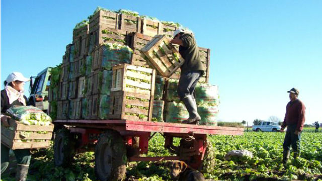 Fuego productivo o ceniza del ajuste: Argentina no tiene 30 años para esperar 2 o 1462445962