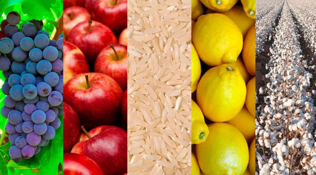 Argentina en depresión silenciosa: el ajuste perpetuo, la fuga de ideas y el NOA dejado a la intemperie