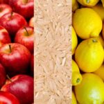 Argentina en depresión silenciosa: el ajuste perpetuo, la fuga de ideas y el NOA dejado a la intemperie