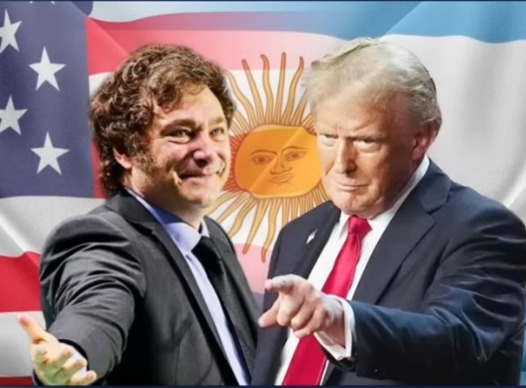 WhatsApp Image 2025 11 17 at 16.39.47 2