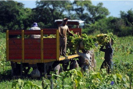 WhatsApp Image 2025 11 19 at 09.05.16