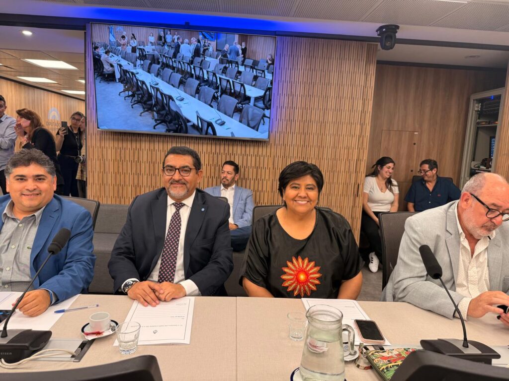 “Nos usan para la foto y condenan a nuestros pibes: Velázquez desnudó en el Congreso la inmoralidad de un sistema que descarta a la juventud del interior”