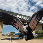 Kuntur Kuteq: el guardián silencioso que vigila la instalación china en Perico y denuncia la violación de derechos ambientales