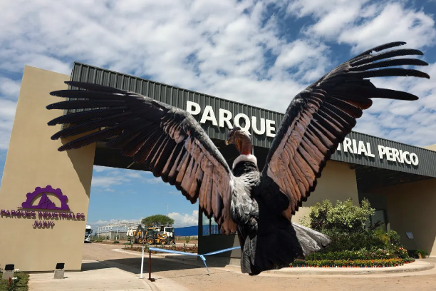 3k4a0133 copia removebg preview removebg preview