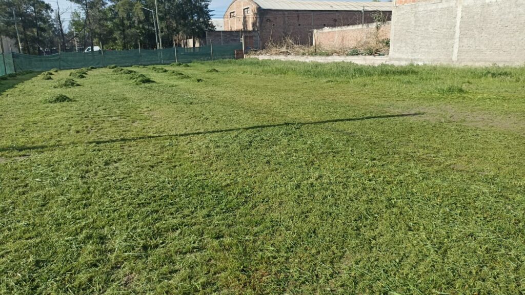 WhatsApp Image 2025 12 04 at 16.13.59 1