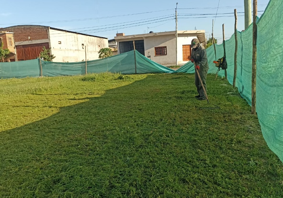 WhatsApp Image 2025 12 04 at 16.42.46