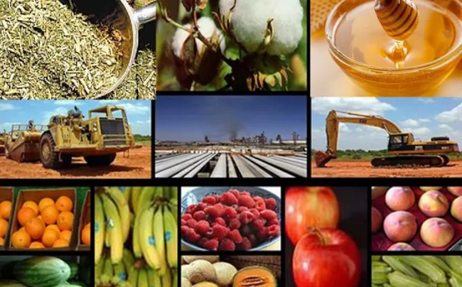 coninagro economiasregionales semaforo 650x404 1