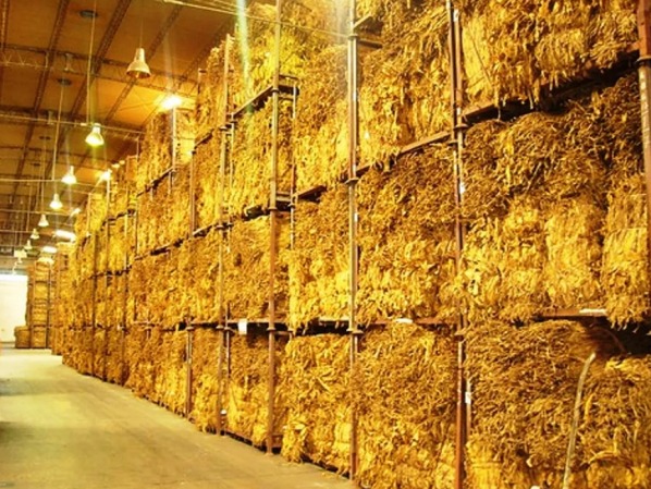 WhatsApp Image 2026 01 11 at 19.26.16 1