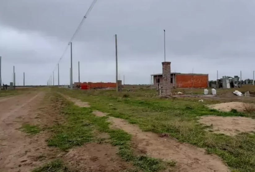 WhatsApp Image 2026 01 13 at 20.22.15