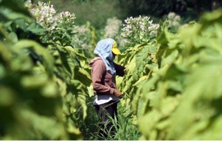 WhatsApp Image 2026 01 18 at 17.38.23