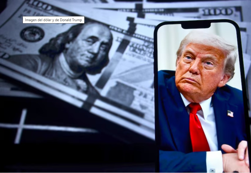 WhatsApp Image 2026 01 20 at 12.14.30