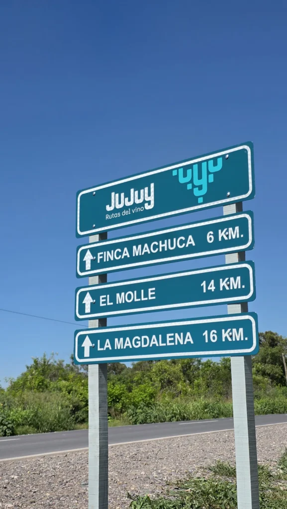 Jujuy consolida su Ruta del Vino: un producto icónico que crece entre valles y altura extrema