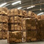 Grade Index 81,6%: el tabaco jujeño jugó en “primera” — y la industria debe pagarlo como premium