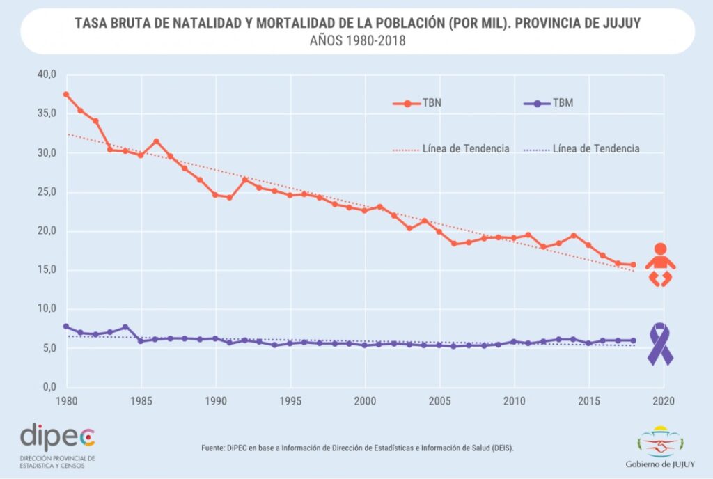 WhatsApp Image 2026 02 03 at 11.57.27 1 1