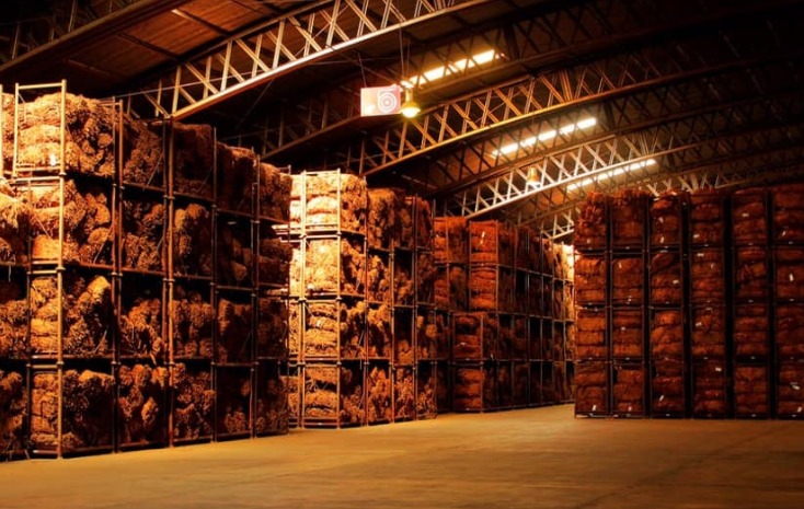 WhatsApp Image 2026 02 08 at 11.49.27