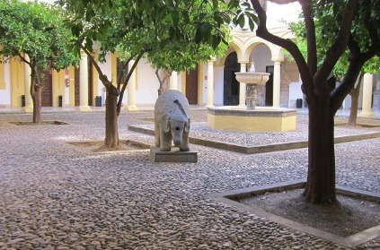 WhatsApp Image 2026 02 09 at 11.13.06