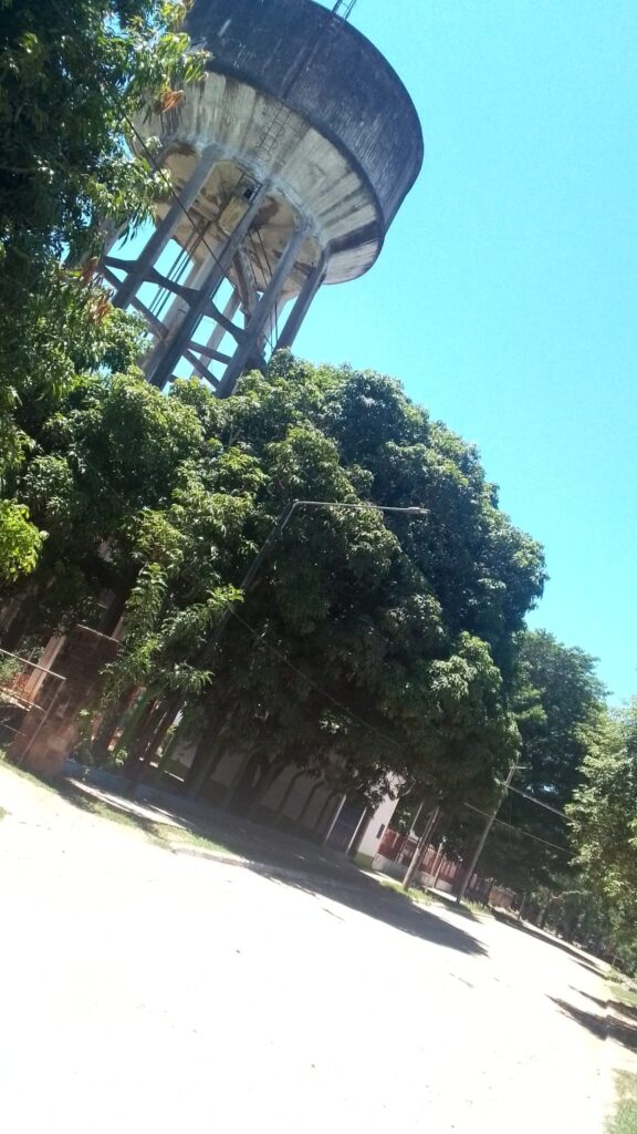 WhatsApp Image 2026 02 12 at 14.10.37 2